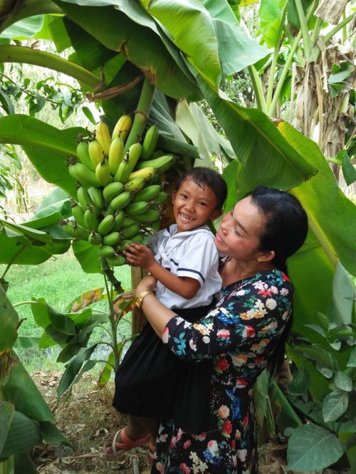 31 Banane 1