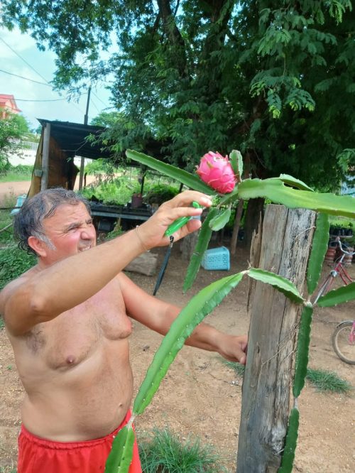 31 Frutta 1